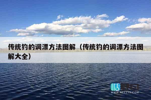 传统钓的调漂方法图解（传统钓的调漂方法图解大全）