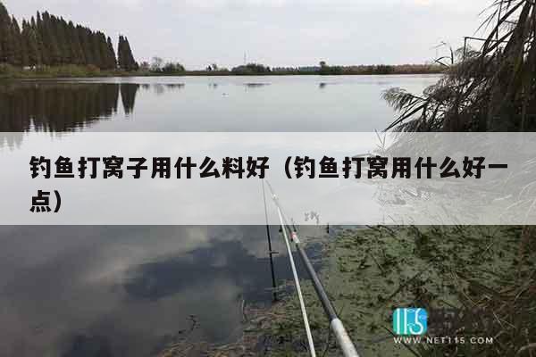 钓鱼打窝子用什么料好（钓鱼打窝用什么好一点）