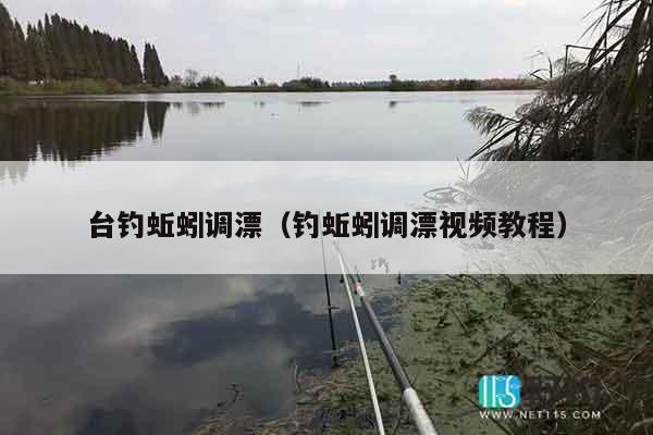 台钓蚯蚓调漂（钓蚯蚓调漂视频教程）