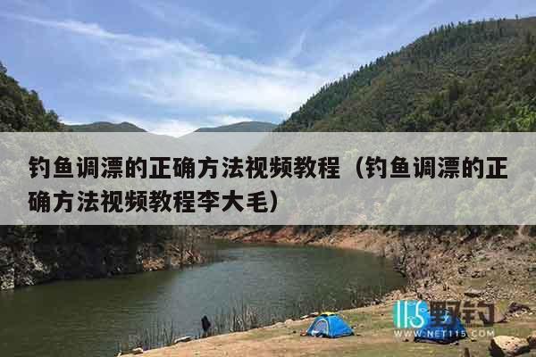 钓鱼调漂的正确方法视频教程（钓鱼调漂的正确方法视频教程李大毛）