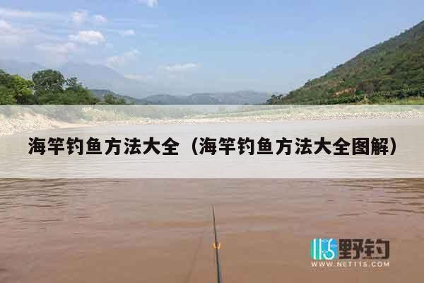 海竿钓鱼方法大全（海竿钓鱼方法大全图解）