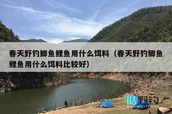 春天野钓鲫鱼鲤鱼用什么饵料（春天野钓鲫鱼鲤鱼用什么饵料比较好）
