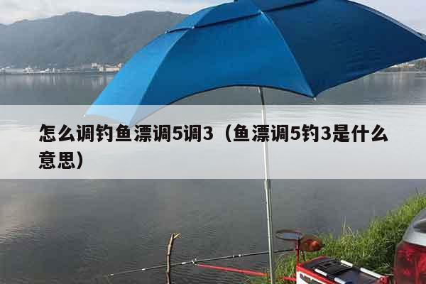 怎么调钓鱼漂调5调3（鱼漂调5钓3是什么意思）