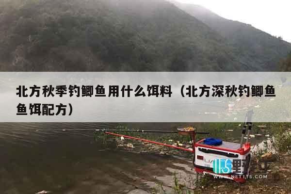 北方秋季钓鲫鱼用什么饵料（北方深秋钓鲫鱼鱼饵配方）