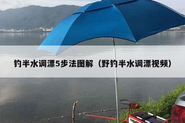 钓半水调漂5步法图解（野钓半水调漂视频）