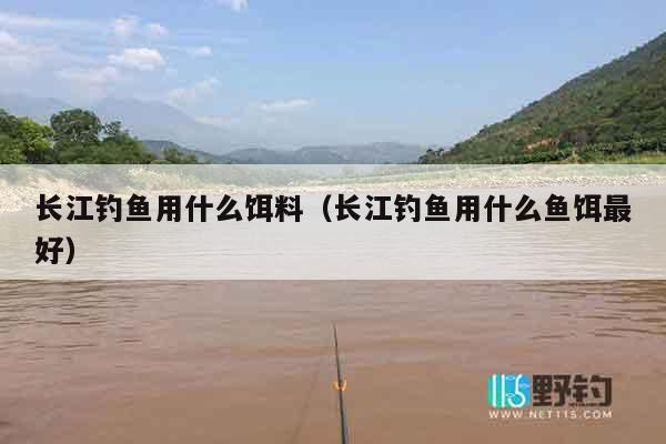 长江钓鱼用什么饵料（长江钓鱼用什么鱼饵最好）