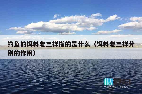 钓鱼的饵料老三样指的是什么（饵料老三样分别的作用）
