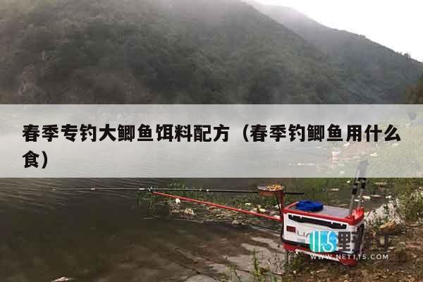 春季专钓大鲫鱼饵料配方（春季钓鲫鱼用什么食）