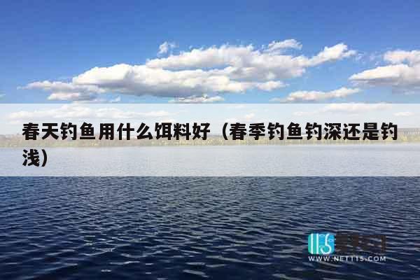 春天钓鱼用什么饵料好（春季钓鱼钓深还是钓浅）