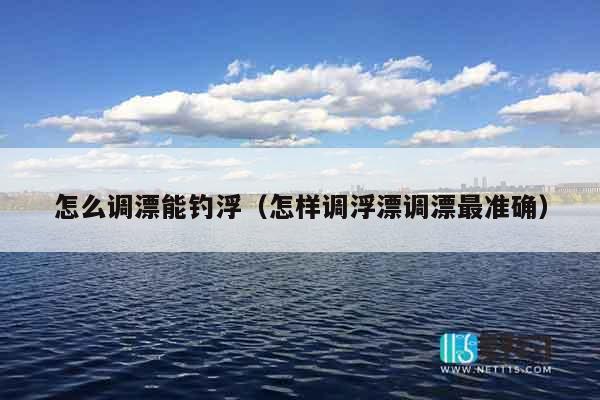 怎么调漂能钓浮（怎样调浮漂调漂最准确）