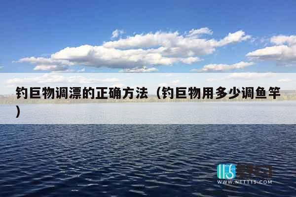 钓巨物调漂的正确方法（钓巨物用多少调鱼竿）