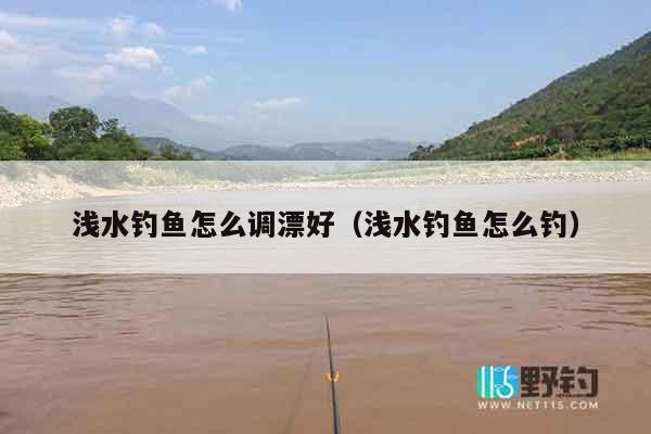 浅水钓鱼怎么调漂好（浅水钓鱼怎么钓）