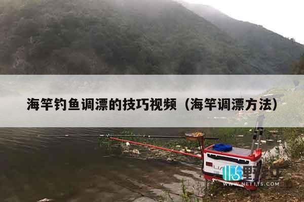 海竿钓鱼调漂的技巧视频（海竿调漂方法）