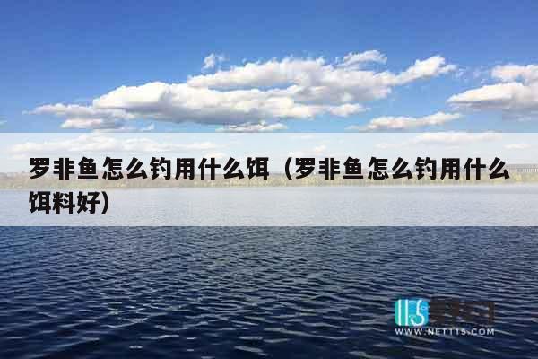 罗非鱼怎么钓用什么饵（罗非鱼怎么钓用什么饵料好）