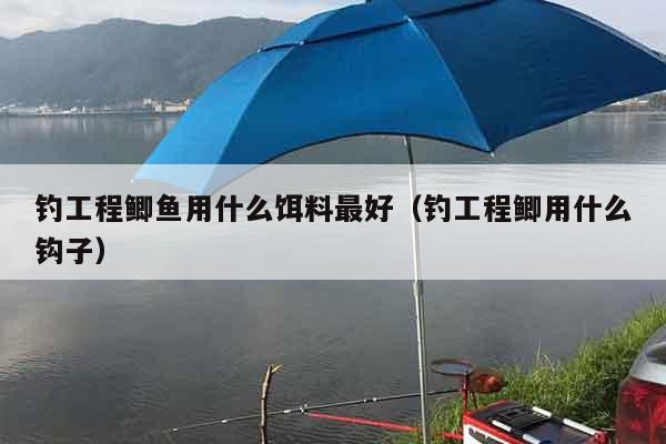 钓工程鲫鱼用什么饵料最好（钓工程鲫用什么钩子）