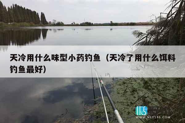 天冷用什么味型小药钓鱼（天冷了用什么饵料钓鱼最好）