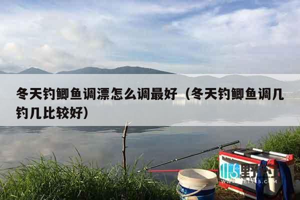 冬天钓鲫鱼调漂怎么调最好（冬天钓鲫鱼调几钓几比较好）