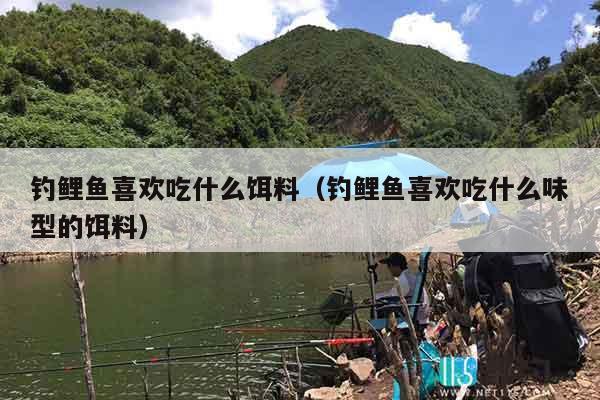 钓鲤鱼喜欢吃什么饵料（钓鲤鱼喜欢吃什么味型的饵料）