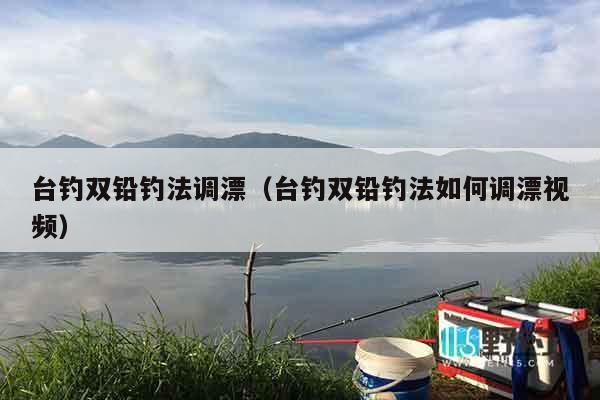 台钓双铅钓法调漂（台钓双铅钓法如何调漂视频）