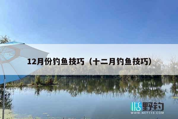 12月份钓鱼技巧（十二月钓鱼技巧）