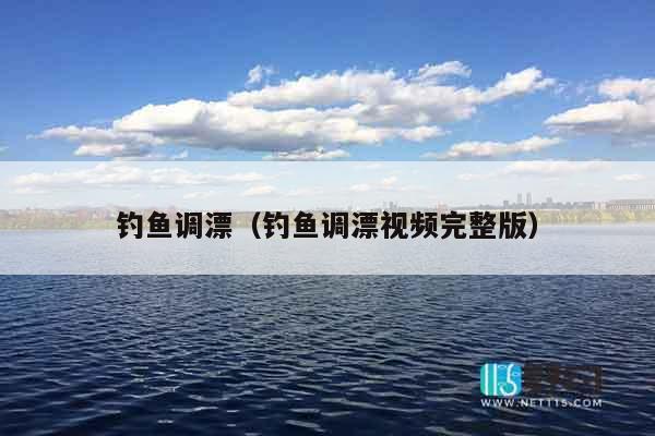 钓鱼调漂（钓鱼调漂视频完整版）