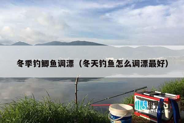 冬季钓鲫鱼调漂（冬天钓鱼怎么调漂最好）