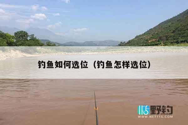 钓鱼如何选位（钓鱼怎样选位）