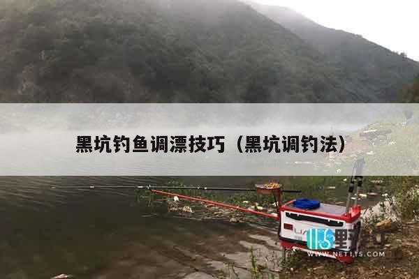 黑坑钓鱼调漂技巧（黑坑调钓法）