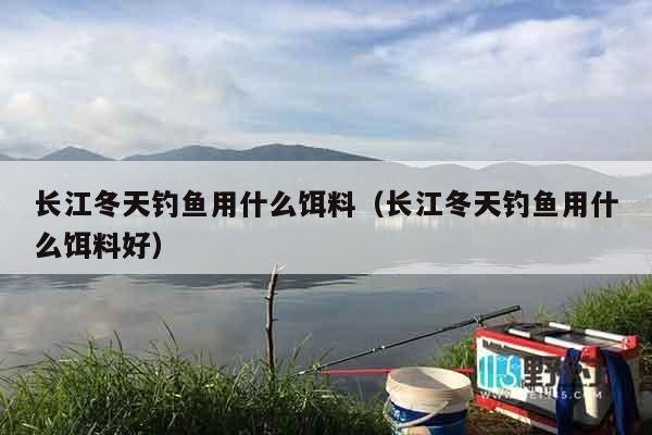 长江冬天钓鱼用什么饵料（长江冬天钓鱼用什么饵料好）