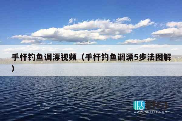 手杆钓鱼调漂视频（手杆钓鱼调漂5步法图解）