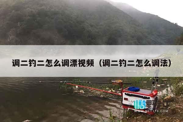 调二钓二怎么调漂视频（调二钓二怎么调法）