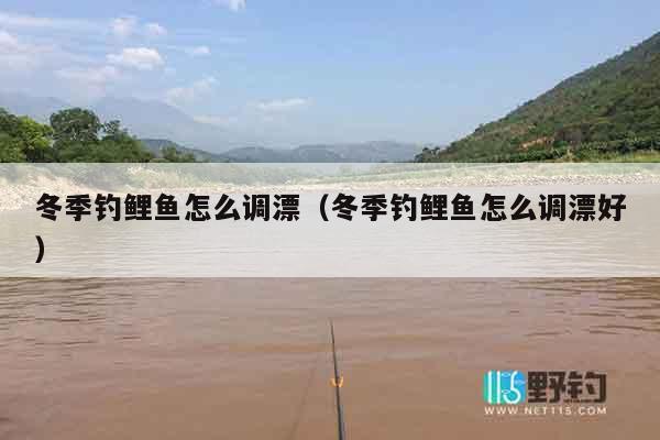 冬季钓鲤鱼怎么调漂（冬季钓鲤鱼怎么调漂好）