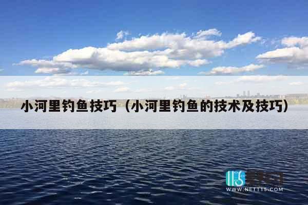 小河里钓鱼技巧（小河里钓鱼的技术及技巧）