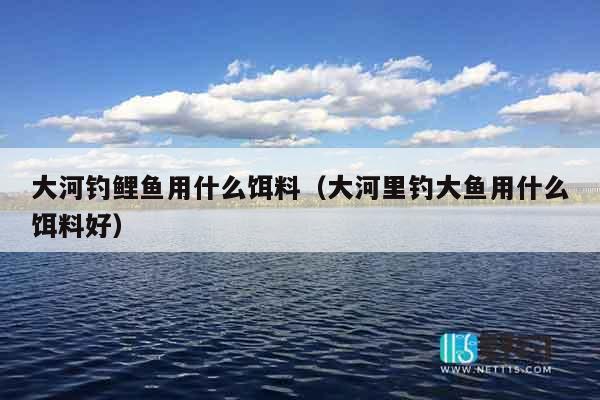 大河钓鲤鱼用什么饵料（大河里钓大鱼用什么饵料好）