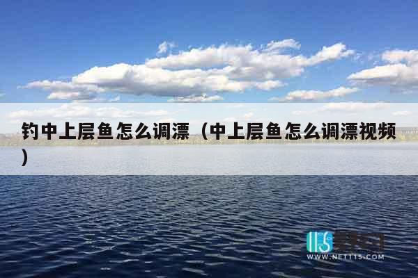 钓中上层鱼怎么调漂（中上层鱼怎么调漂视频）