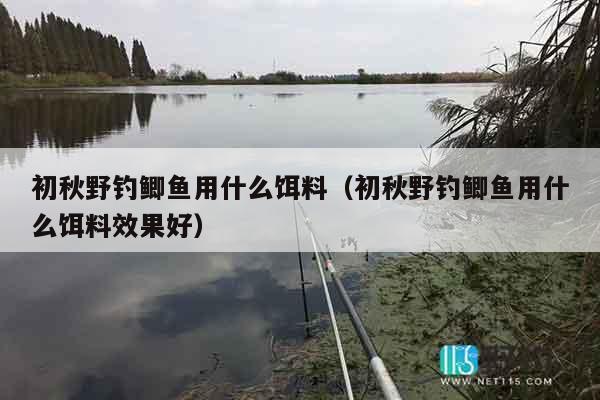 初秋野钓鲫鱼用什么饵料（初秋野钓鲫鱼用什么饵料效果好）