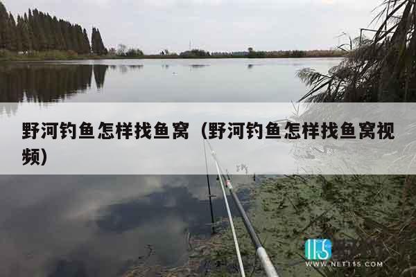 野河钓鱼怎样找鱼窝（野河钓鱼怎样找鱼窝视频）