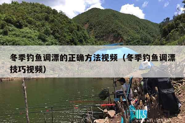 冬季钓鱼调漂的正确方法视频（冬季钓鱼调漂技巧视频）