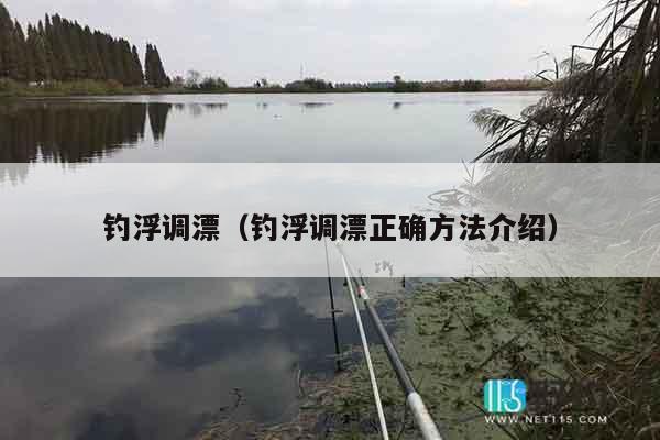 钓浮调漂（钓浮调漂正确方法介绍）