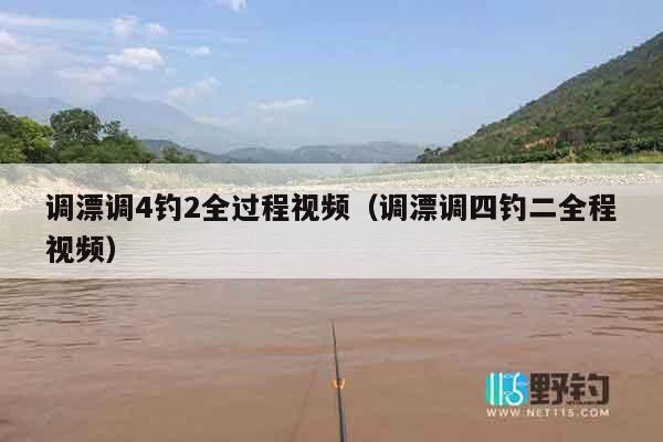 调漂调4钓2全过程视频（调漂调四钓二全程视频）