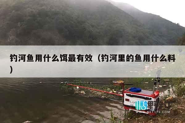 钓河鱼用什么饵最有效（钓河里的鱼用什么料）