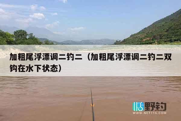 加粗尾浮漂调二钓二（加粗尾浮漂调二钓二双钩在水下状态）