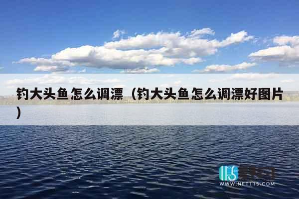 钓大头鱼怎么调漂（钓大头鱼怎么调漂好图片）