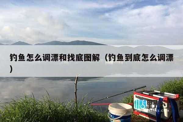 钓鱼怎么调漂和找底图解（钓鱼到底怎么调漂）