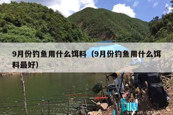 9月份钓鱼用什么饵料（9月份钓鱼用什么饵料最好）