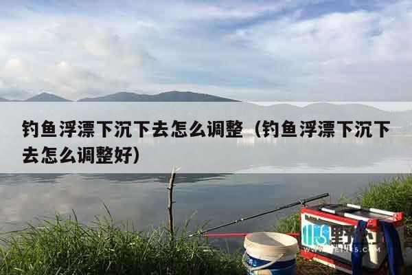 钓鱼浮漂下沉下去怎么调整（钓鱼浮漂下沉下去怎么调整好）