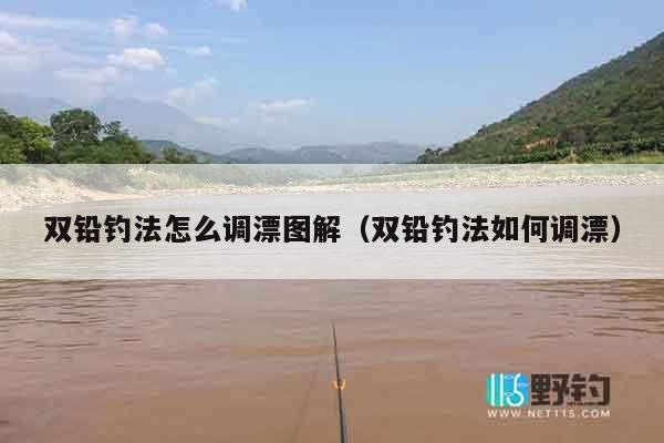 双铅钓法怎么调漂图解（双铅钓法如何调漂）
