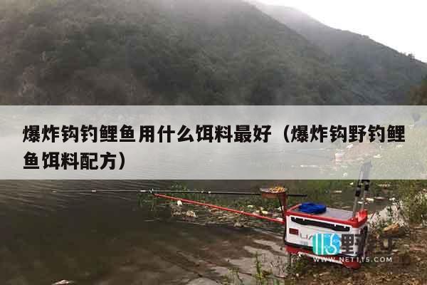 爆炸钩钓鲤鱼用什么饵料最好（爆炸钩野钓鲤鱼饵料配方）