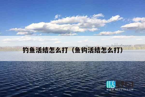 钓鱼活结怎么打（鱼钩活结怎么打）