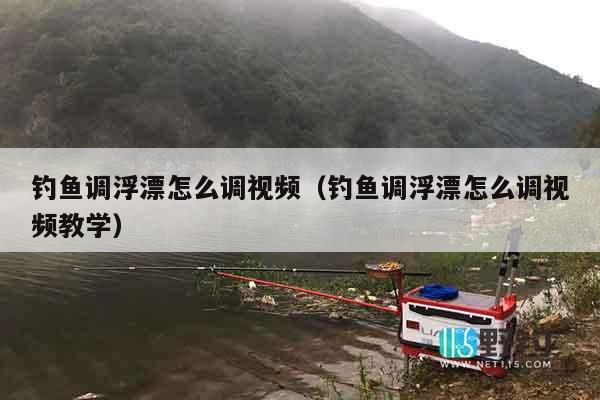 钓鱼调浮漂怎么调视频（钓鱼调浮漂怎么调视频教学）